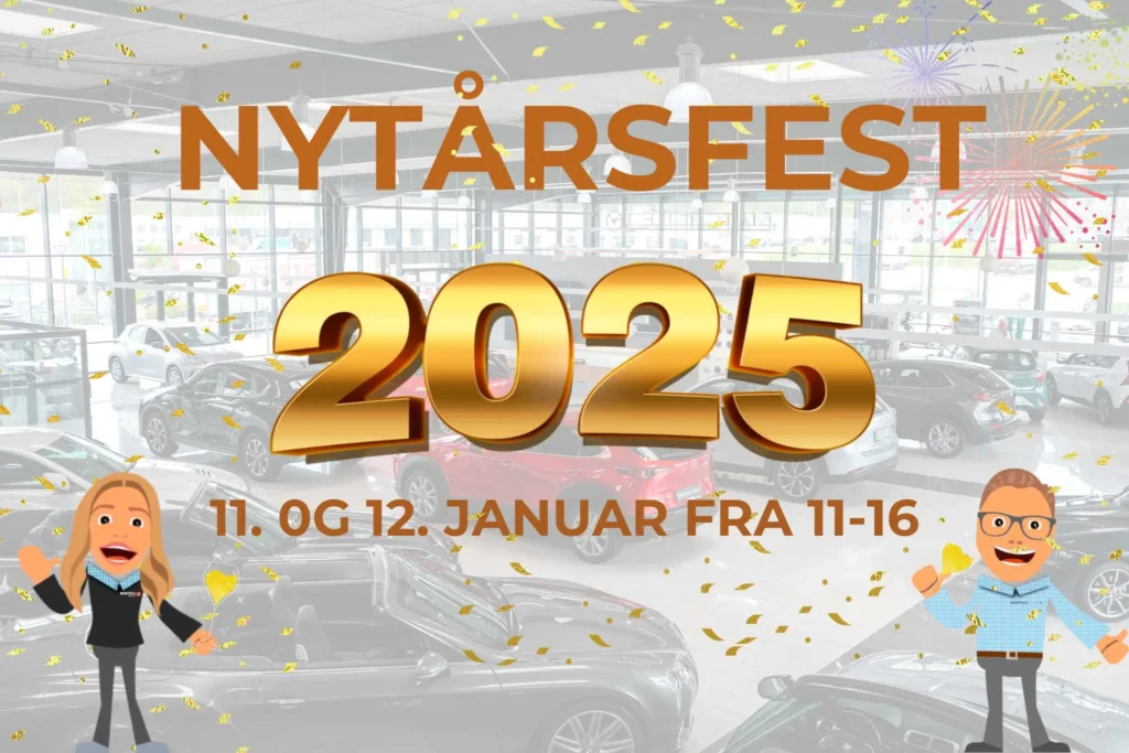nytaarskur 2025